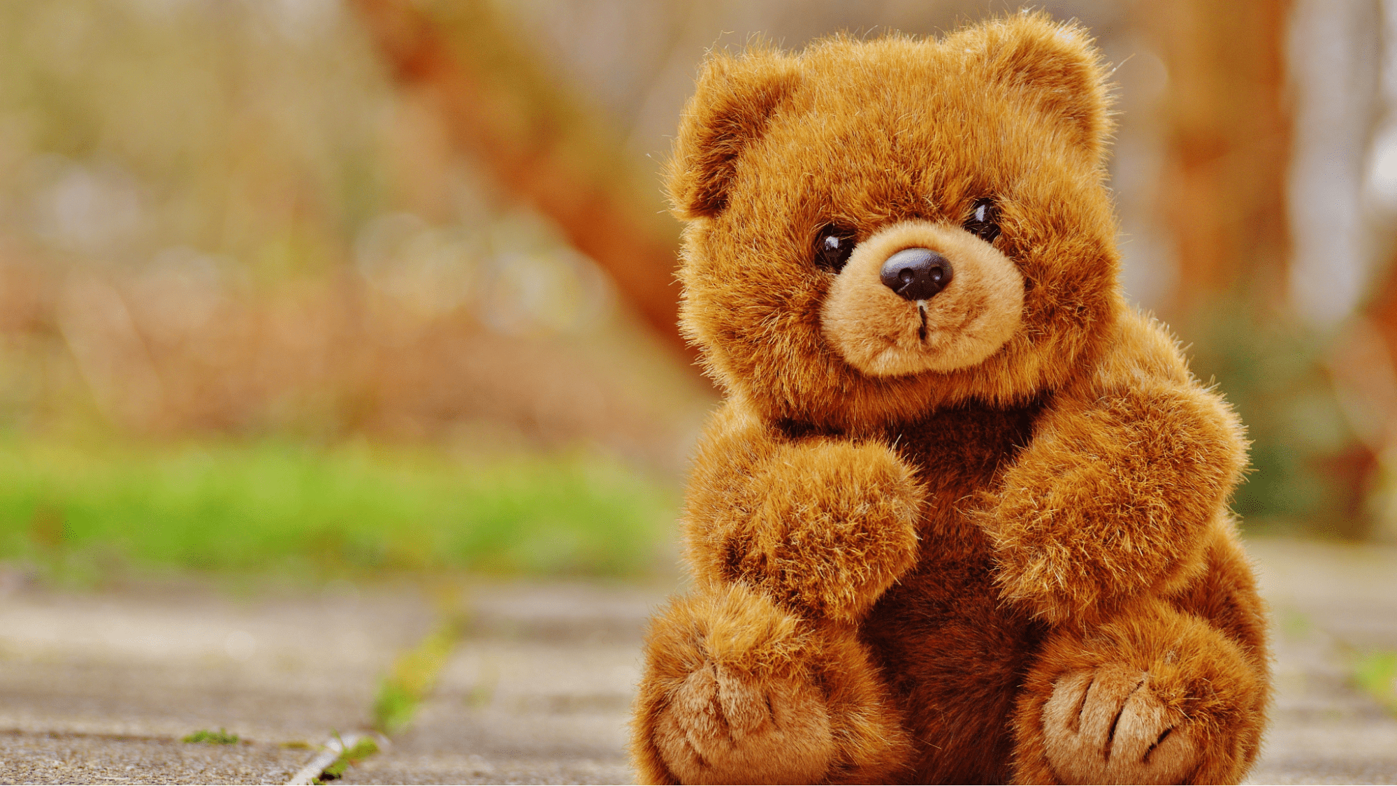 Small Stuffed Animals in Bulk - Customizable with Your Company Logo