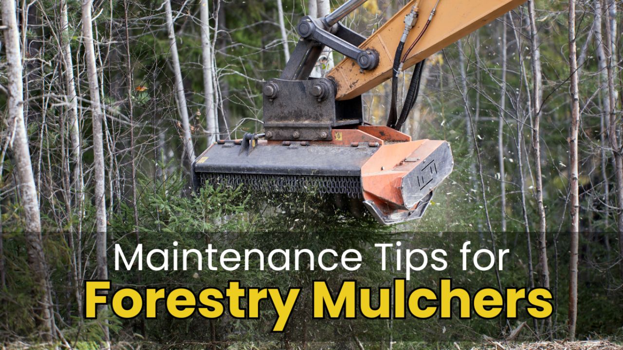 Essential Tips for Maintaining Forestry Mulcher Teeth for Maximum Lifespan