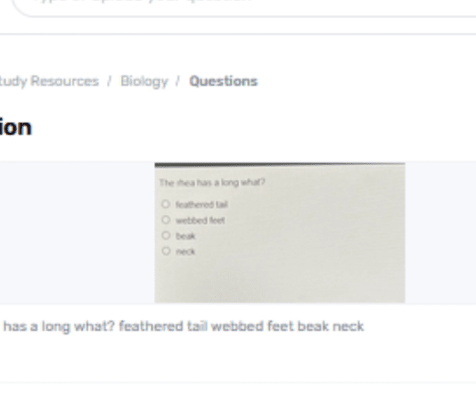 What Does The Rhea Have A Long: Feathered Tail, Webbed Feet, Bill, Or Neck?