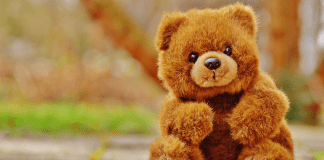 Small Stuffed Animals in Bulk – Customizable with Your Company Logo