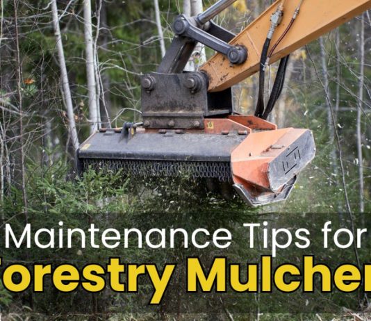 Essential Tips for Maintaining Forestry Mulcher Teeth for Maximum Lifespan
