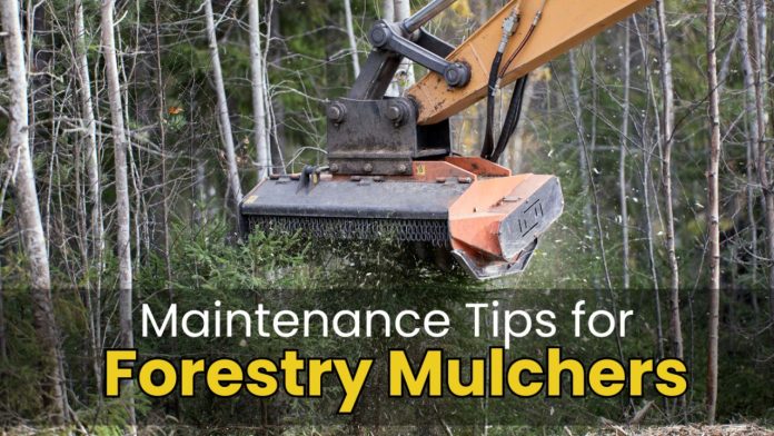 Essential-Tips-for-Maintaining-Forestry-Mulcher-Teeth-for-Maximum-Lifespan